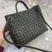 Сумка Bottega Veneta Medium Andiamo L4764