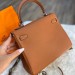 Сумка Hermes Kelly 25 Togo R1159