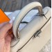 Сумка Hermes Kelly 25 Togo R1160