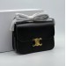 Сумка Celine Classique Triomphe RP3834