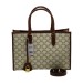 Сумка Celine Triompe Canvas R3145