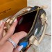 Сумка Louis Vuitton Nano Speedy R2134