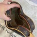 Сумка Louis Vuitton Heart R2646