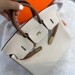 Сумка Hermes Birkin 25 RB3598