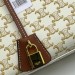 Сумка Celine Triompe Canvas R3145