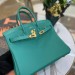 Сумка Hermes Birkin 25 RB5505