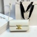 Сумка Celine Claude RE6173
