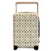 Чемодан Louis Vuitton Horizon 55 RR6218