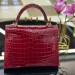 Сумка Hermes Kelly 25 RB5874