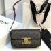 Сумка Celine Claude RE6176