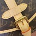 Сумка Louis Vuitton Saumur BB RR5614