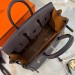 Сумка Hermes Birkin 25 RB4910
