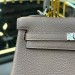 Сумка Hermes Kelly 25 Togo RB5883