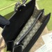 Сумка Gucci Dionysus GG RE6100