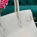 Сумка Hermes Birkin RE6464