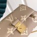 Сумка Louis Vuitton Favorite RR6478