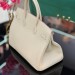 Сумка Hermes Birkin RE6464