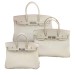 Сумка Hermes Birkin RE6464